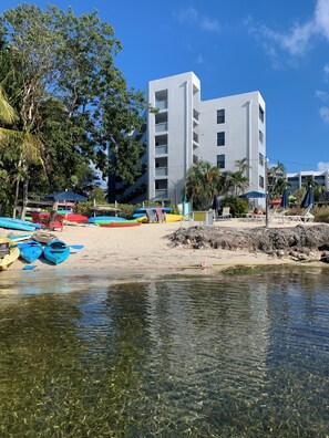 Chaises longues, serviettes de plage