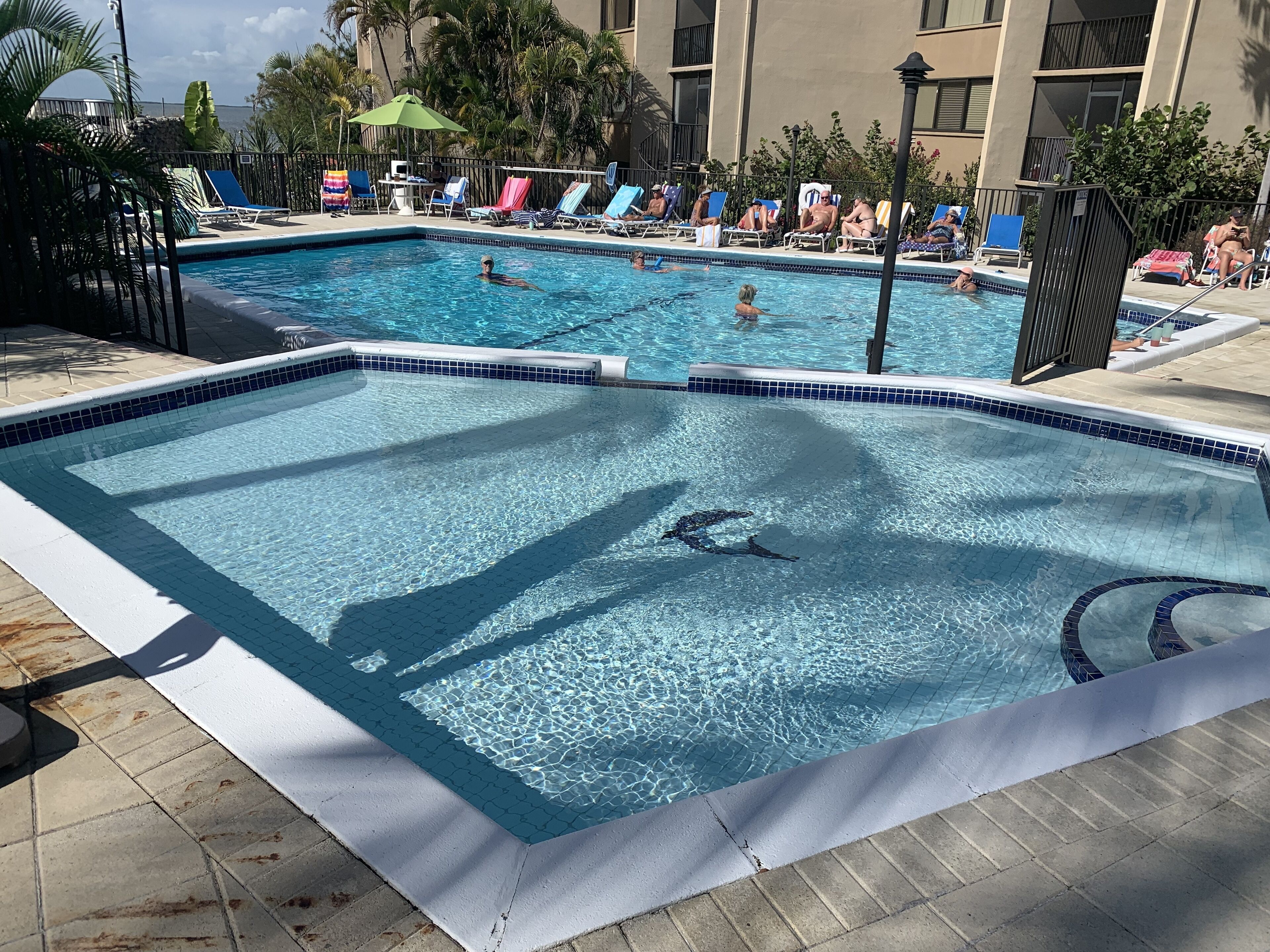 A swimming pool with clear blue water, surrounded by lounge chairs and umbrellas, and a building in the background.
