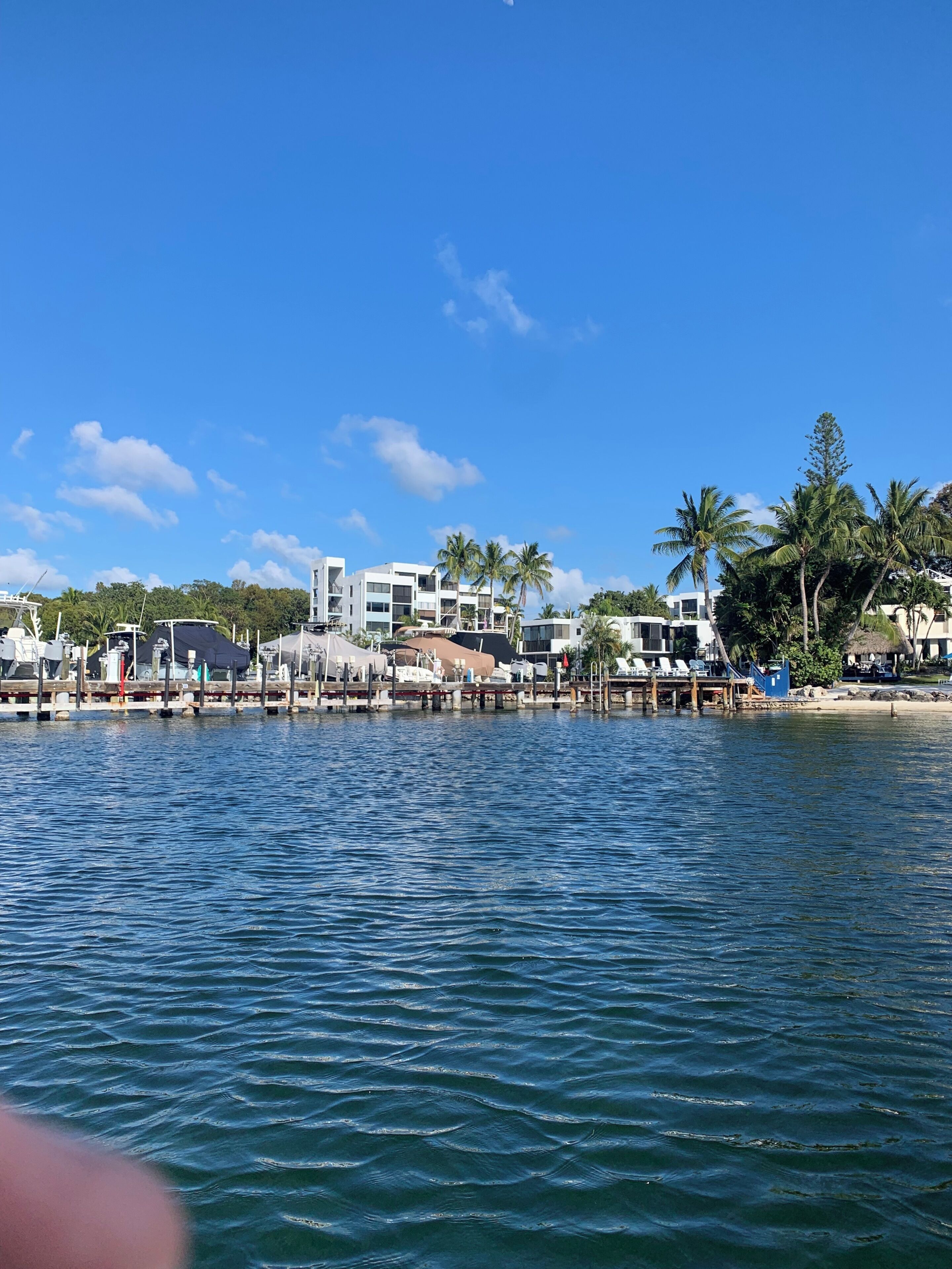 A waterfront property with modern buildings, a dock, and palm trees.