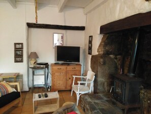 电视、壁炉、DVD 播放器、音乐库