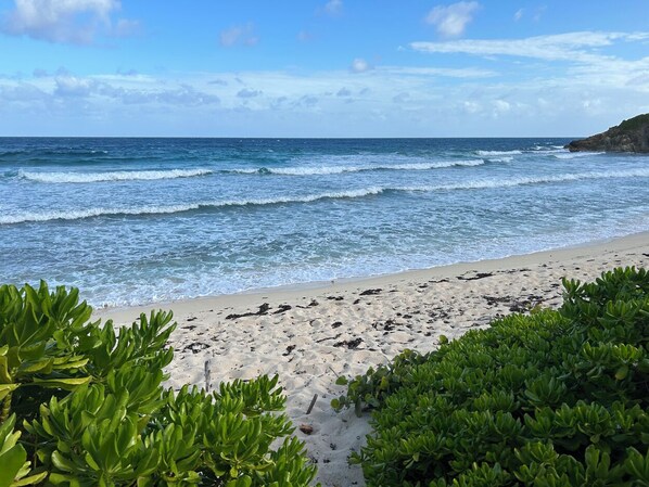 A beach with waves, sand, and green vegetation.