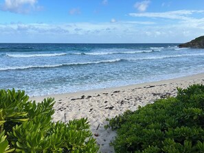 Una playa cerca