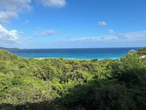 A lush green landscape with a view of the ocean and a distant building.