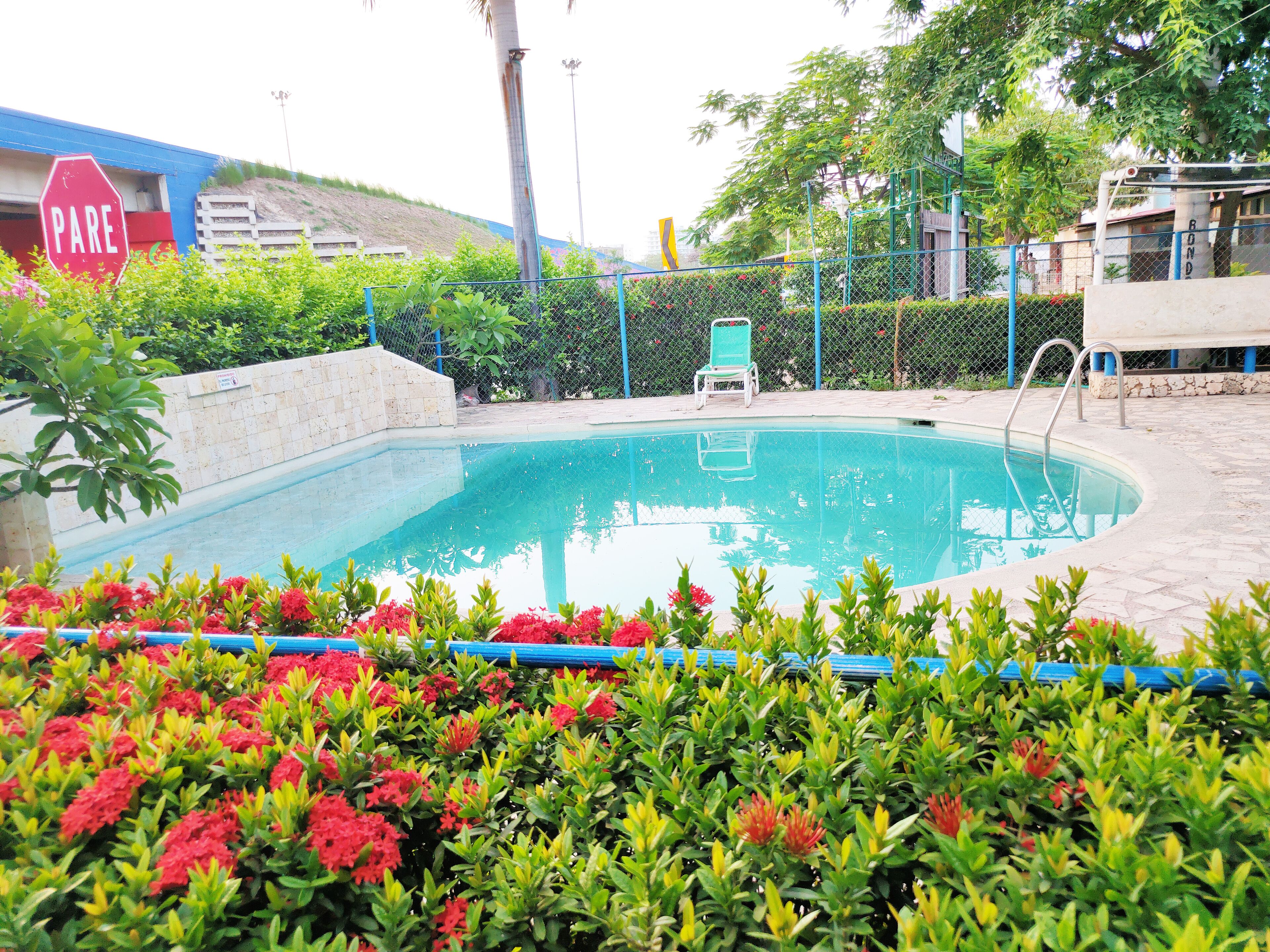 outdoor pool, pool umbrellas, pool loungers