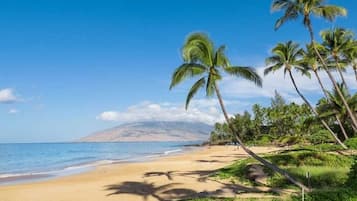 Chaises longues, serviettes de plage