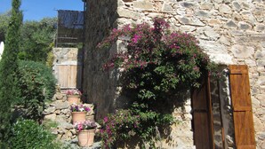 A stone building with a wooden door and window, surrounded by potted plants and flowers. - Character house, 'U STAZZU' (Ventiseri)