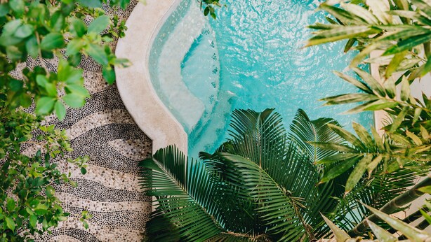 Una piscina rodeada de exuberante vegetación y un camino con diseño.