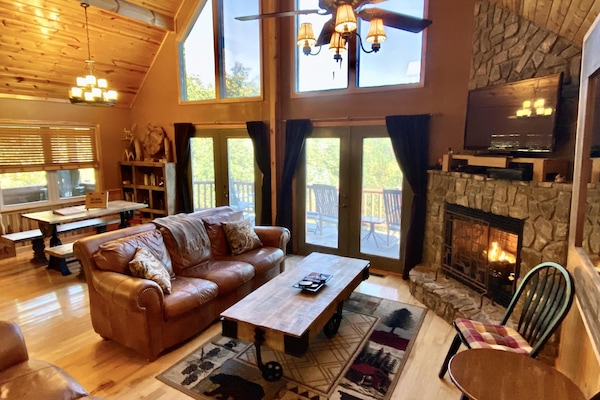 TV, fireplace, DVD player, books