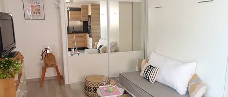 تلفزيون، مشغل دي في دي، كُتُب