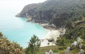 Un paysage côtier comprenant une plage, des falaises rocheuses et une forêt dense.