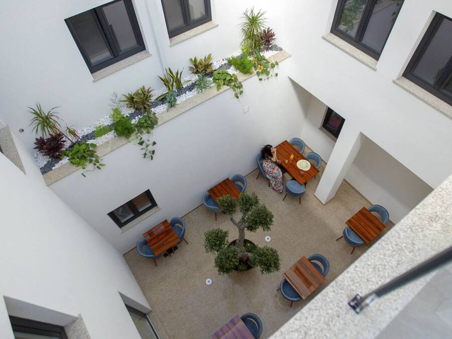 Un patio con una mesa y sillas de madera, rodeado de plantas en macetas y un árbol pequeño.