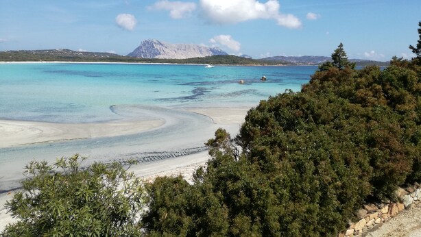 A coastal landscape with clear turquoise waters, a sandy beach, and a mountainous backdrop. - Holidays in San Teodoro (San teodoro)