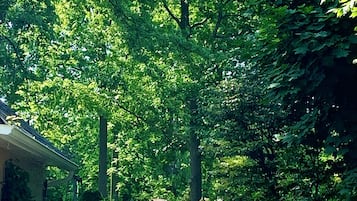 Jardin