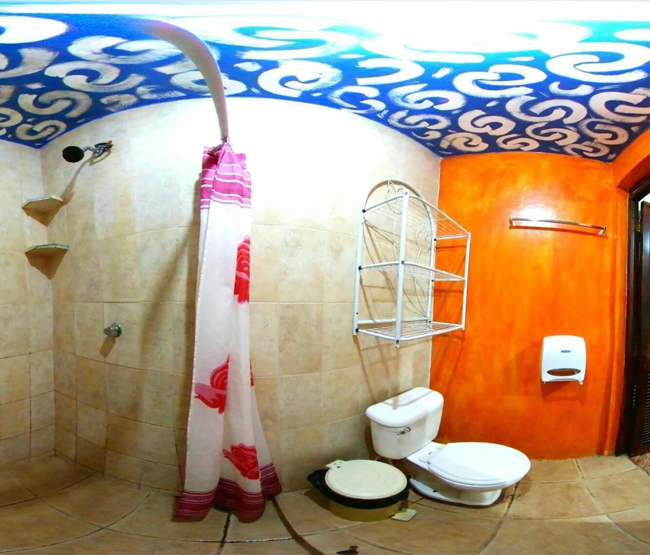 Shower, free toiletries, towels, soap