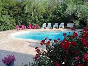 Outdoor pool - Air-conditioned house with saltwater pool in a green setting (Entraigues-sur-la-Sorgue)