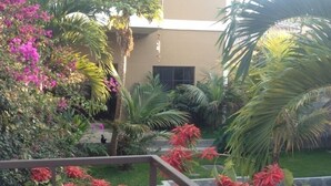 Uma área de jardim com caminho de azulejos, palmeiras e plantas floridas.