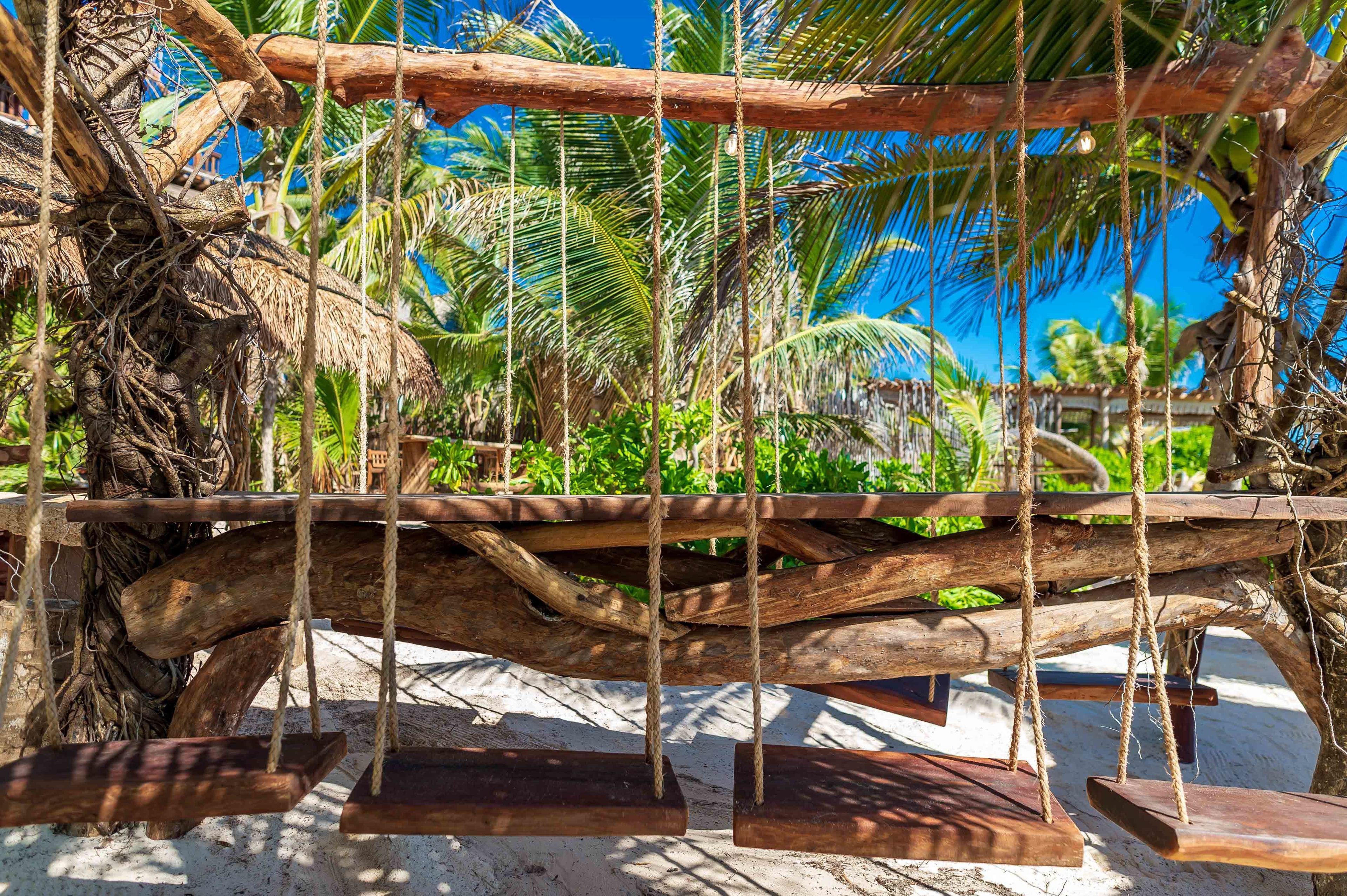 A wooden swing set suspended from a tree branch in a tropical setting.