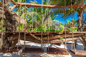 A wooden swing set suspended from a tree branch in a tropical setting.