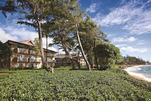 Un hôtel situé en bord de mer, doté de nombreux balcons, d’une pelouse bien entretenue et offrant une vue sur l’océan.