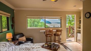 Panoramic Room, River View