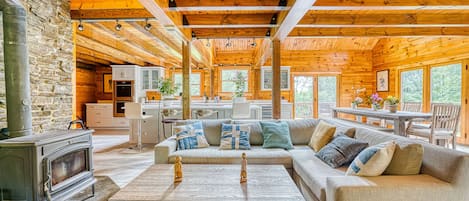 Smart TV, fireplace, video games, Netflix