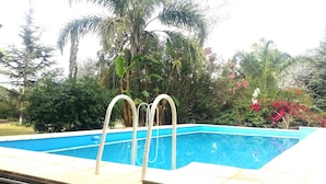 A swimming pool with two white diving steps, surrounded by lush greenery and various plants. - Quinta Valvanera (Salta)