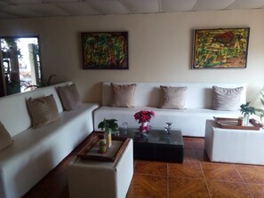 46-inch plasma TV with cable channels, TV