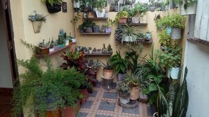 A small, enclosed courtyard with various potted plants arranged on shelves and the ground. - Patio De Joan (Comayagua)