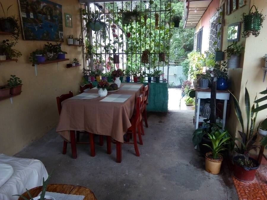 A dining area with a table set for four, surrounded by chairs. There are potted plants on shelves and hanging from the ceiling.
