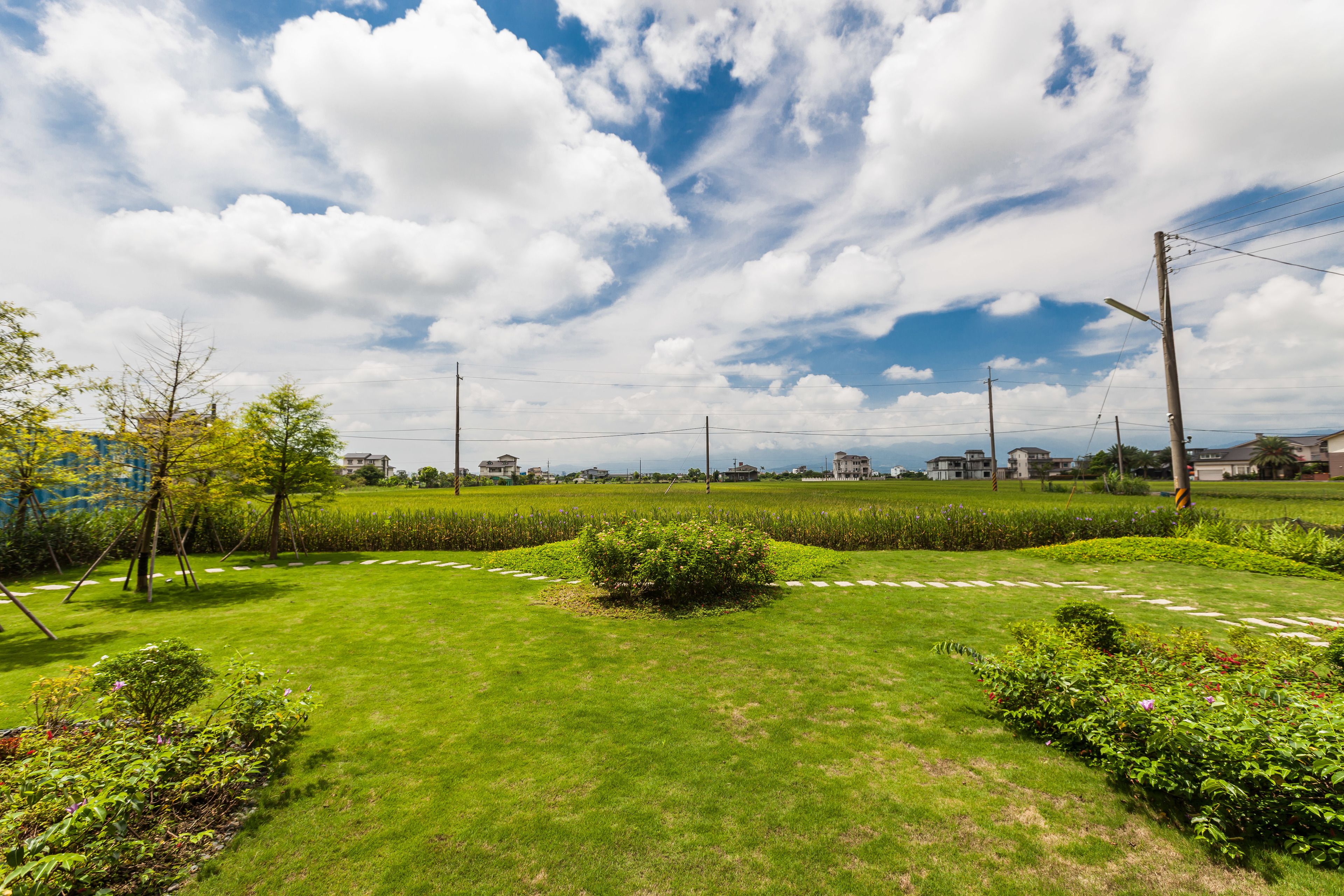 A well-maintained lawn with a central bush, surrounded by neatly trimmed hedges and a clear sky.