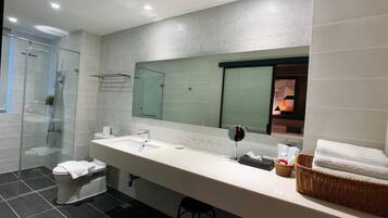 Shower, hair dryer, towels, soap