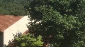 A view of a coastal area with dense greenery and a body of water in the distance. - Beautiful lake view- (Lake Ozarks)