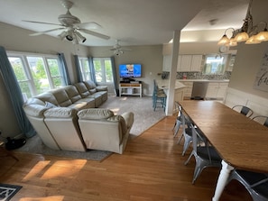 Smart TV, videogames, Netflix, DVD player