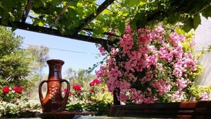 Une table agrémentée d’un pichet décoratif et un banc placés sous une pergola ornée de plantes à fleurs.
