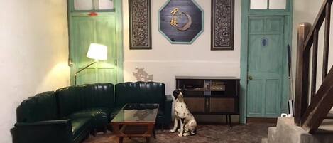 A living room with a green sofa, a glass coffee table, a dog, and a fireplace.