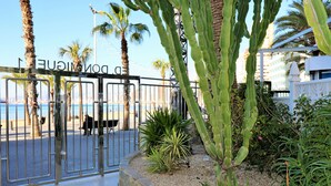 A gated entrance with palm trees and cacti, leading to a beach area. - Don Miguel 1 18-A (Benidorm)