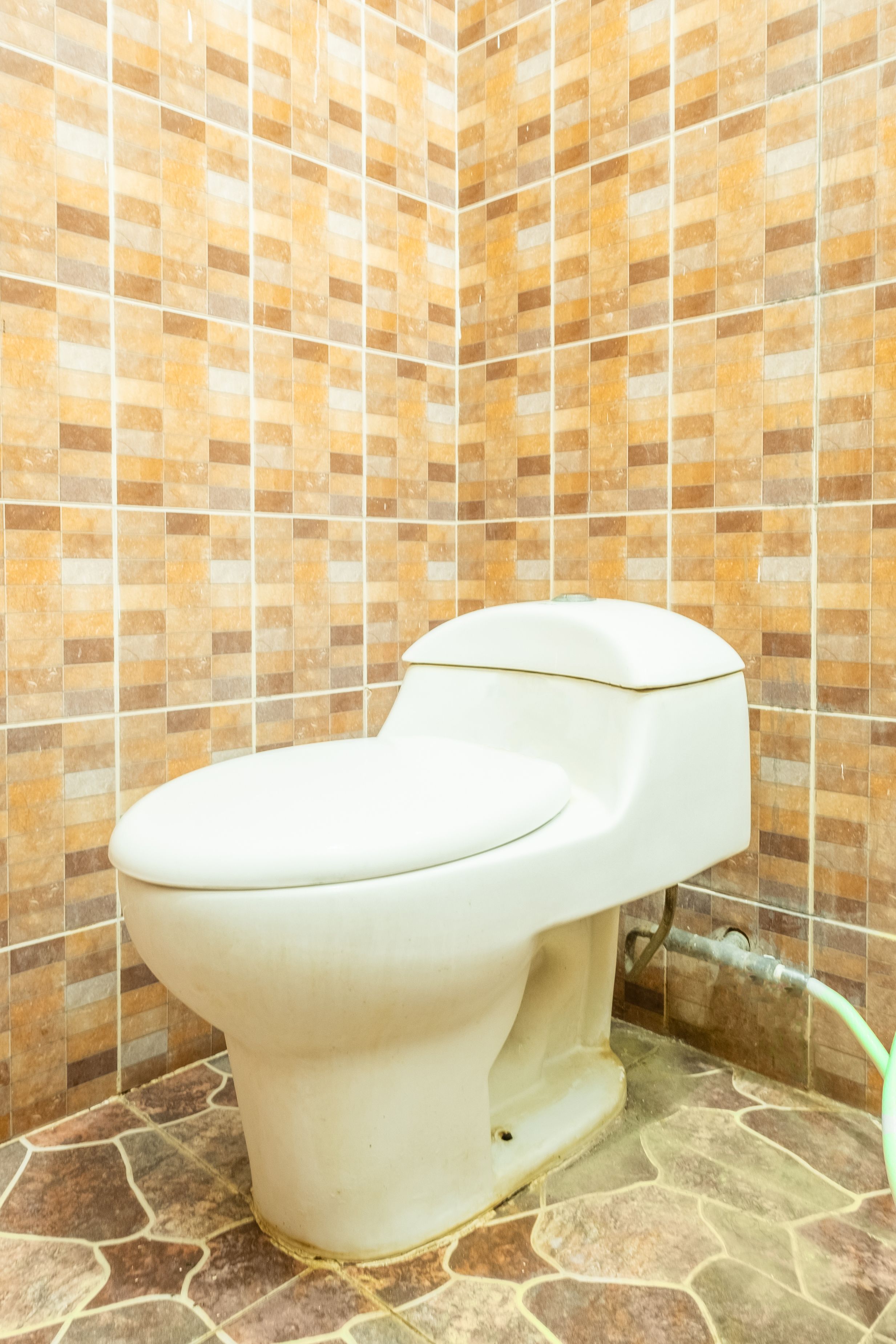 Ein Badezimmer mit Toilette, gefliesten Wänden und Steinboden.