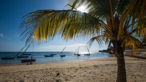 Une plage avec un palmier, des bateaux et une eau calme.
