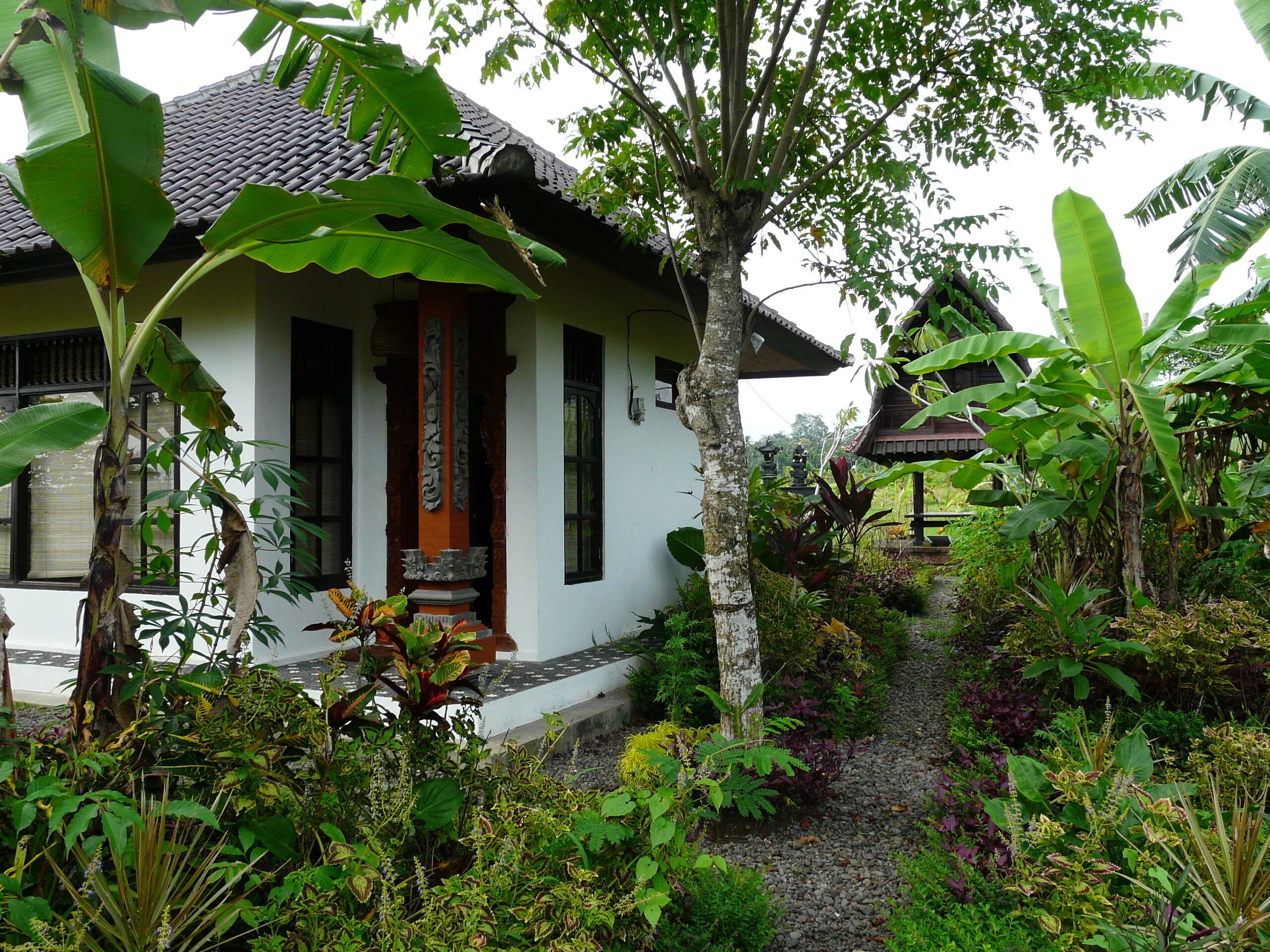 Side of the house with tumbling