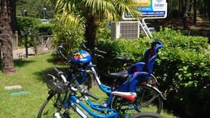 A row of bicycles parked on grass with a sign in the background.