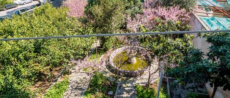 إطلالة على الحديقة