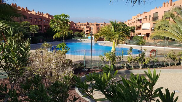 A swimming pool surrounded by palm trees and a fence, with buildings in the background. - La Tejita - with two terraces depending on the direction of wind and sun. (Los Abrigos)
