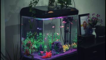 A fish tank with various aquatic plants and fish, placed on a shelf.