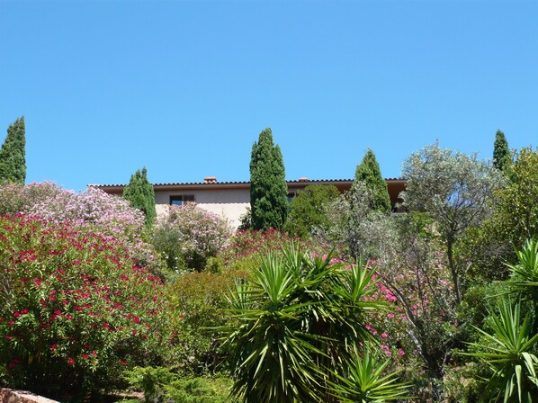 Property grounds - Quiet location close to town center and beaches with private pool (Porto-Vecchio)