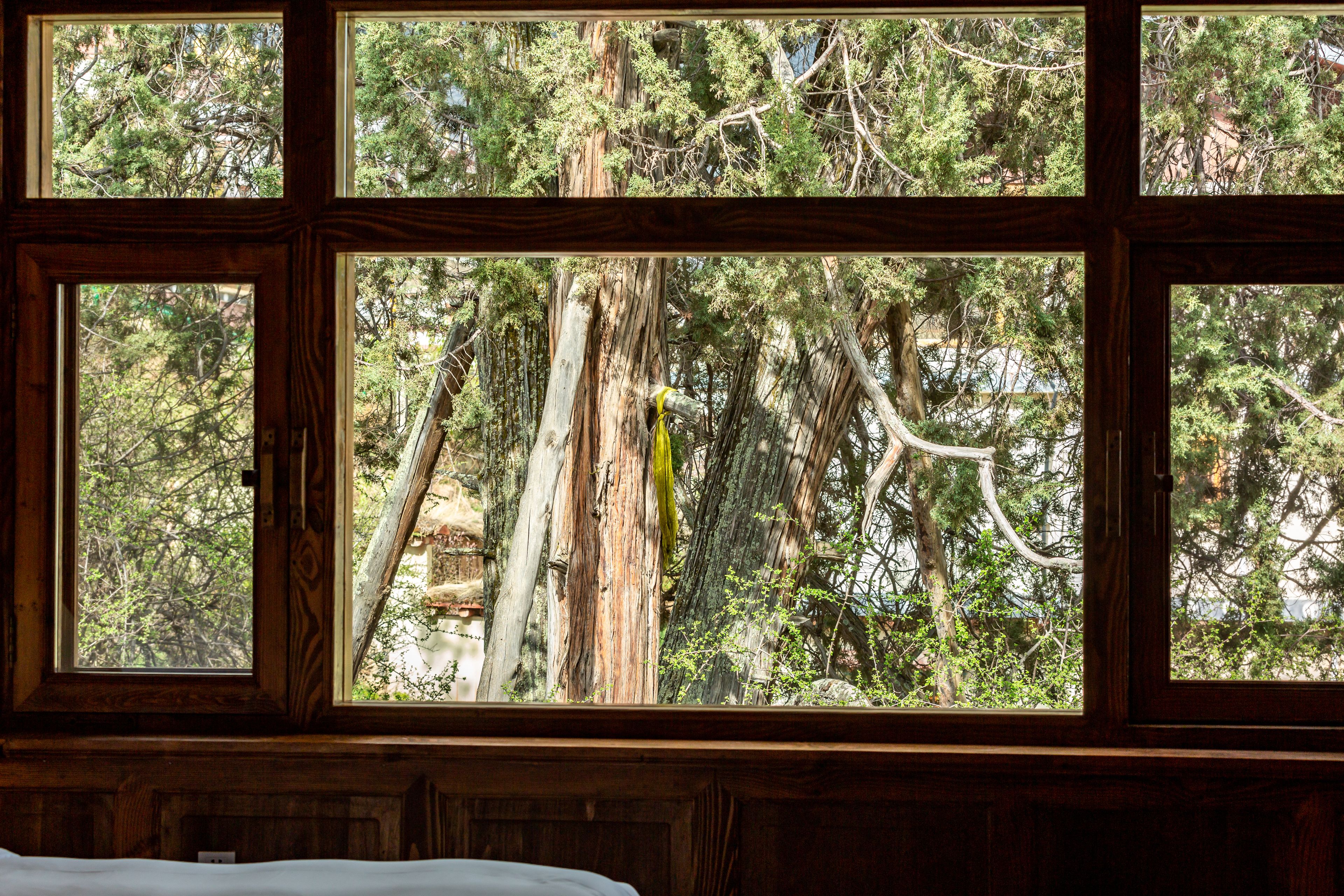 Deluxe Twin Room | In-room safe, desk, blackout drapes, free WiFi