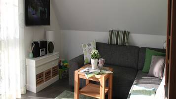 Apartment | Living area | LED TV, DVD player, ping pong