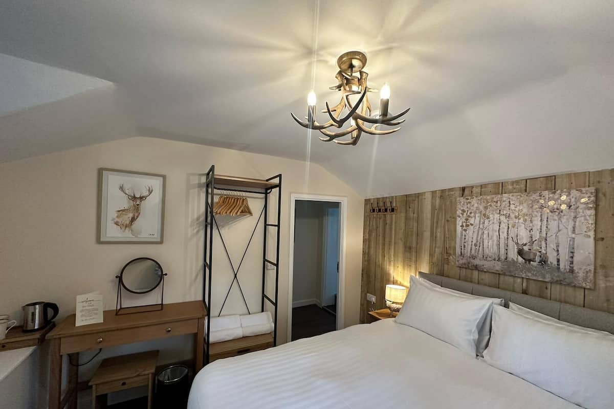 A hotel room with a large bed, a wooden bench, a mirror, a framed deer picture, a chandelier, and a wall with a forest painting.