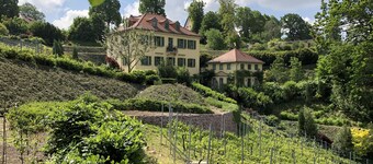 Rebenhaus Meißen