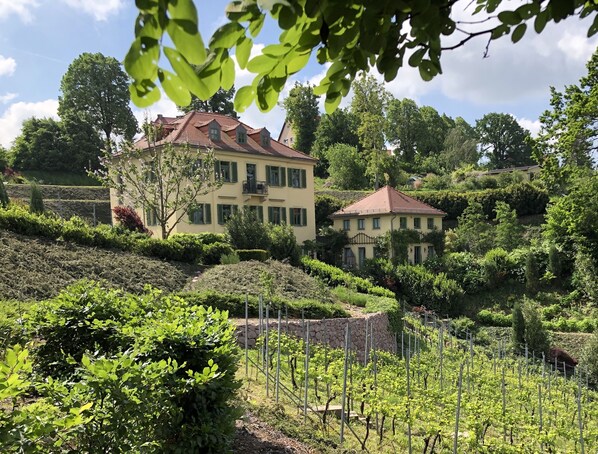 Front of property - Rebenhaus Meißen (Meissen)