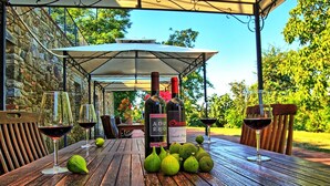 Eine Terrasse im Freien mit Tisch, gedeckt für eine Mahlzeit, umgeben von einer Steinmauer und Bäumen.